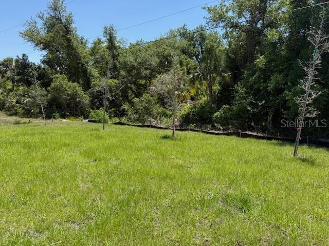 20241 Lorette Ave, Port Charlotte, FL 33954 - view of yard
