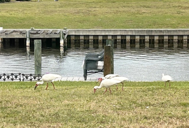 123 Poinsettia Cir NE, Port Charlotte, FL 33952 - dock with a lawn and a water view