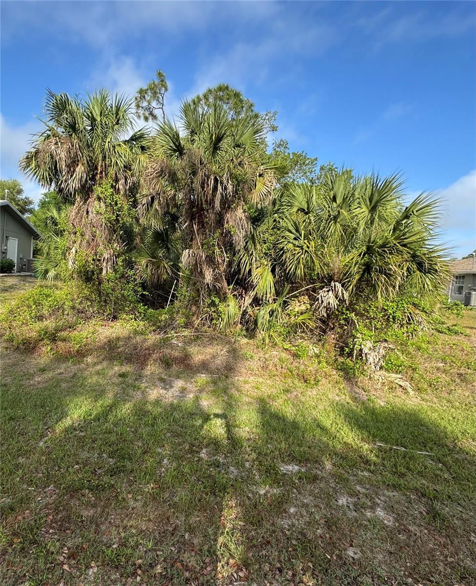 327 Arbor St, Port Charlotte, FL 33953 - photo 1