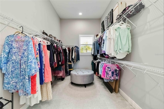 spacious closet with carpet