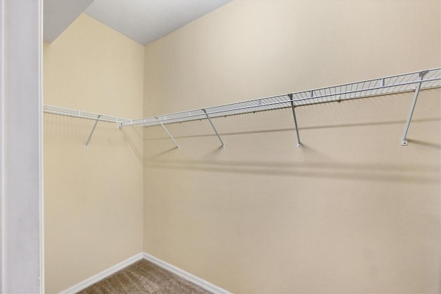1085 Jonah Dr, North Port, FL 34289 - walk in closet featuring carpet flooring