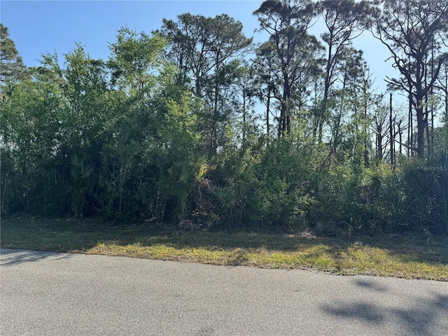96 Westmore St, Port Charlotte, FL 33953