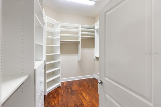spacious closet featuring dark wood finished floors