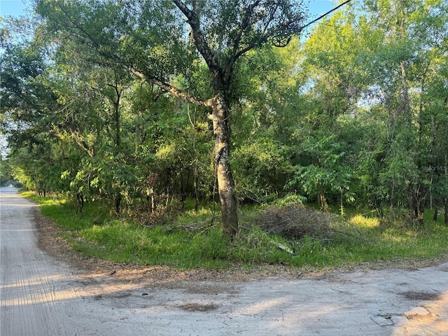 NE River Ridge Ave, Arcadia, FL 34266 - photo 1