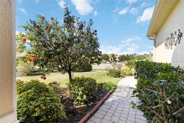 1230 Collier Pl, Venice, FL 34293 - photo 43