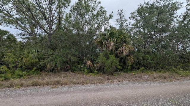 4920 Pelican Dr, Punta Gorda, FL 33982 - photo 1