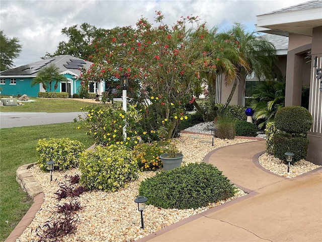 1536 Willow Dl, Sebring, FL 33872 - view of yard