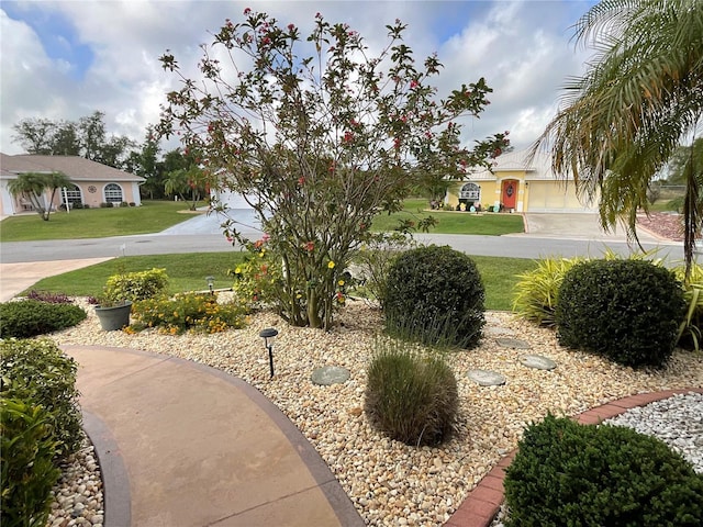 1536 Willow Dl, Sebring, FL 33872 - view of yard