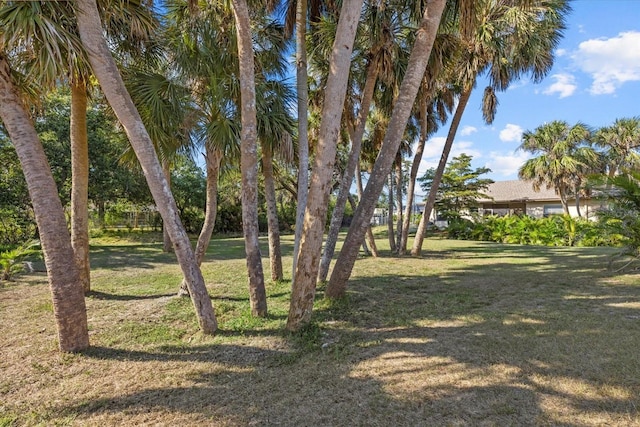 357 Boundary Blvd Unit 1And 2, Rotonda West, FL 33947 - photo 54