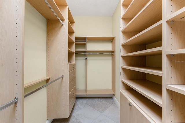 view of spacious closet