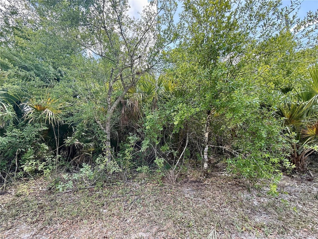 27263 Las Lomas Dr, Punta Gorda, FL 33955