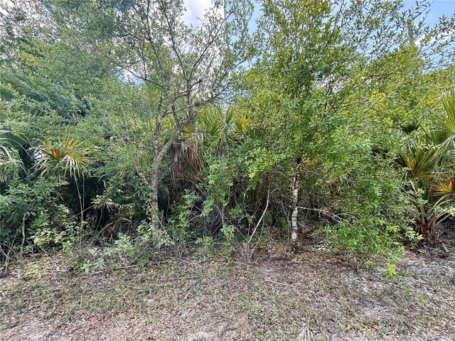 27263 Las Lomas Dr, Punta Gorda, FL 33955