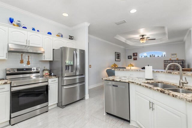 16450 Bauers Ave, Port Charlotte, FL 33954 - kitchen featuring ceiling fan, under cabinet range hood, a sink, stainless steel appliances, and a raised ceiling
