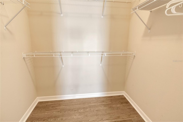 spacious closet with wood finished floors