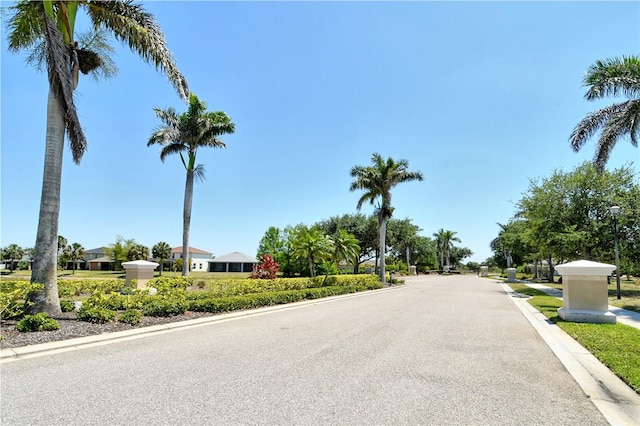 view of road featuring curbs and street lighting