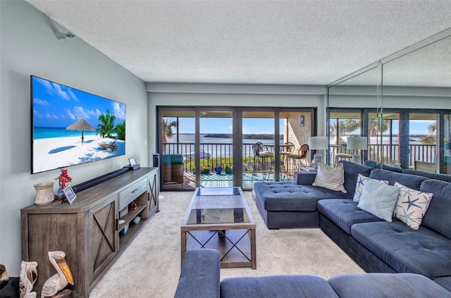 1701 Beach Rd Unit 305, Englewood, FL 34223 - carpeted living area with a textured ceiling, french doors, and plenty of natural light