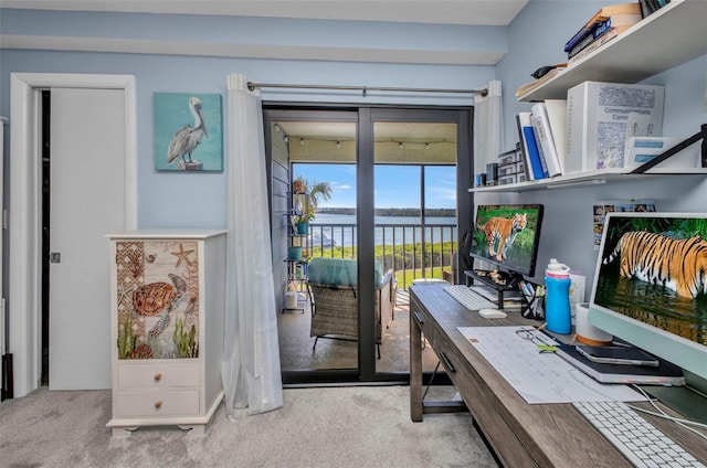 1701 Beach Rd Unit 305, Englewood, FL 34223 - entryway with carpet flooring
