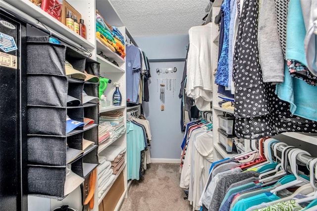 1701 Beach Rd Unit 305, Englewood, FL 34223 - walk in closet with carpet flooring