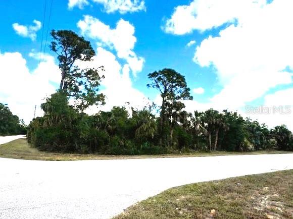 17128 Wintergarden Ave, Port Charlotte, FL 33948 - photo 5
