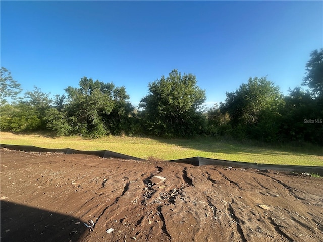 26209 Madras Ct, Punta Gorda, FL 33983 - view of yard