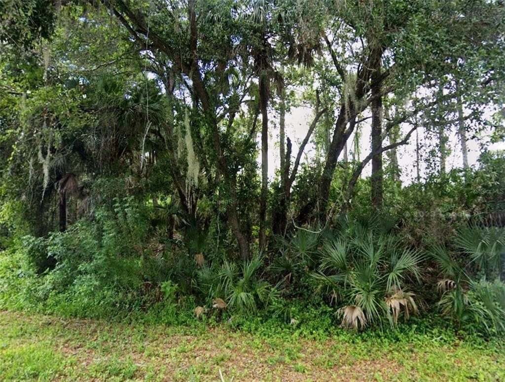 17172 Russell Ave, Port Charlotte, FL 33954