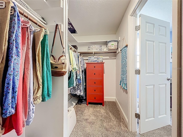 582 Ridgewood St NW, Port Charlotte, FL 33952 - spacious closet with carpet flooring