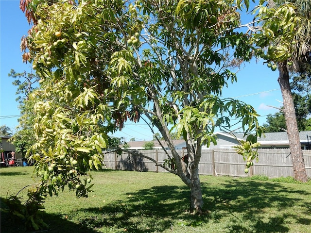 582 Reading St NW, Port Charlotte, FL 33952 - view of yard