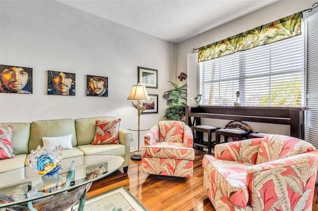 living room featuring hardwood / wood-style flooring