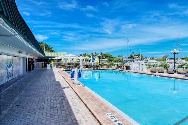 7150 N Tamiami Trl Unit S-600, Sarasota, FL 34243 - pool with fence