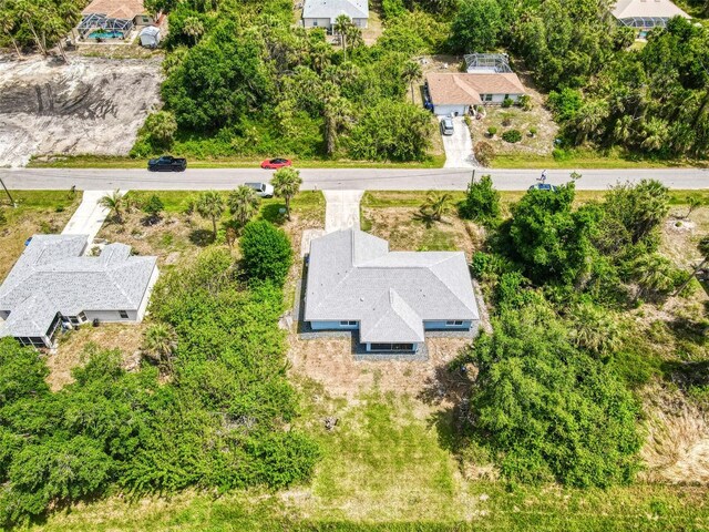 drone / aerial view