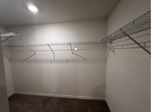 walk in closet featuring carpet