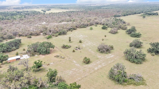 1635 SW Rodgers Ave, Arcadia, FL 34266 - birds eye view of property with a rural view and a view of trees