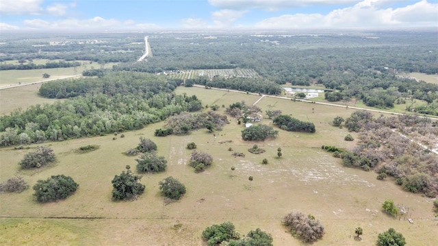 1635 SW Rodgers Ave, Arcadia, FL 34266 - bird's eye view with a rural view