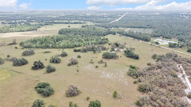 1635 SW Rodgers Ave, Arcadia, FL 34266 - bird's eye view with a rural view