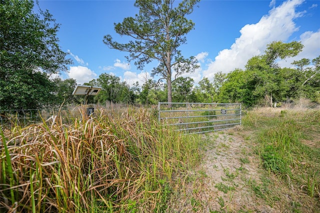 2143 SW Blossom Ave, Arcadia, FL 34266 - photo 1