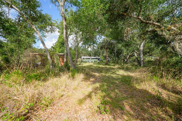 2143 SW Blossom Ave, Arcadia, FL 34266 - photo 25