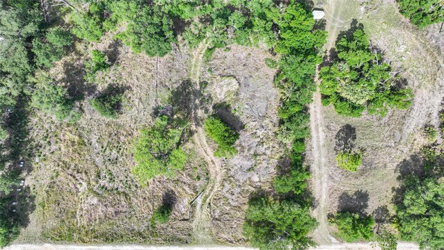 2143 SW Blossom Ave, Arcadia, FL 34266 - photo 34