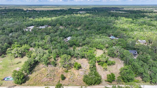 2143 SW Blossom Ave, Arcadia, FL 34266 - photo 35