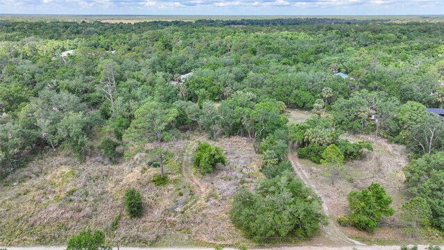 2143 SW Blossom Ave, Arcadia, FL 34266 - photo 37