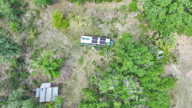 2143 SW Blossom Ave, Arcadia, FL 34266 - photo 38