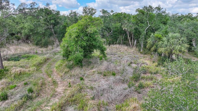 2143 SW Blossom Ave, Arcadia, FL 34266 - photo 39