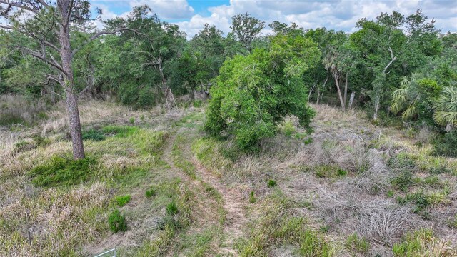 2143 SW Blossom Ave, Arcadia, FL 34266 - photo 40