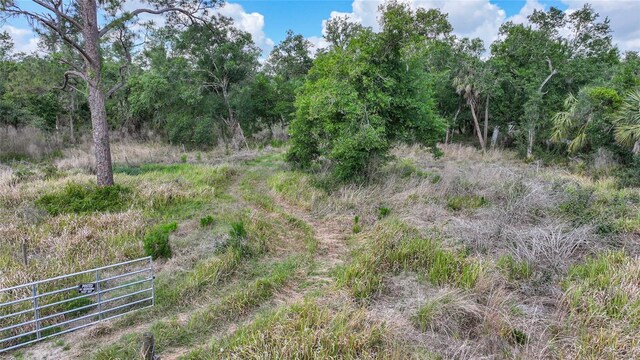 2143 SW Blossom Ave, Arcadia, FL 34266 - photo 41