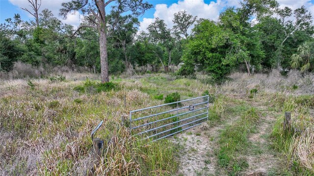 2143 SW Blossom Ave, Arcadia, FL 34266 - photo 42