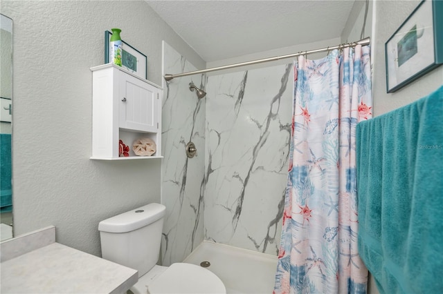 3175 Lakatos St, North Port, FL 34286 - bathroom featuring toilet, vanity, a textured wall, and a stall shower