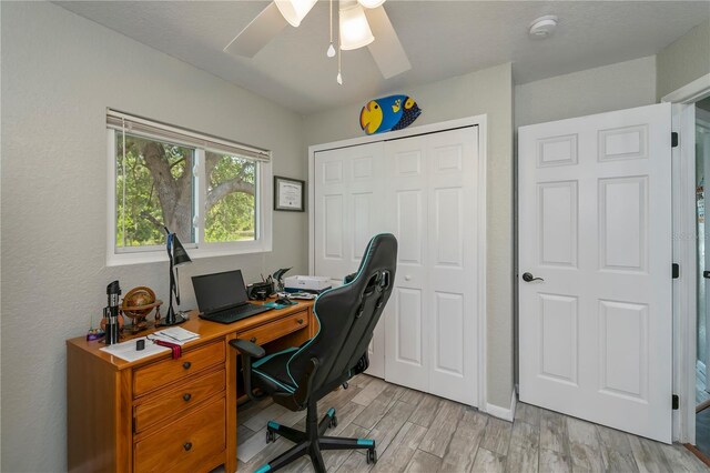 3175 Lakatos St, North Port, FL 34286 - office featuring ceiling fan, baseboards, and light wood finished floors