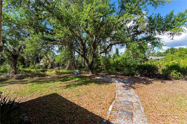 3175 Lakatos St, North Port, FL 34286 - view of yard