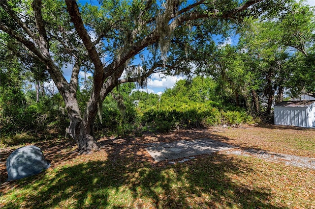 3175 Lakatos St, North Port, FL 34286 - view of yard with a storage unit and an outbuilding