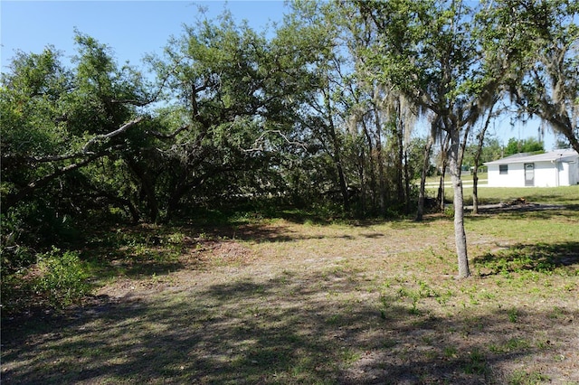 29211 Picador St, Punta Gorda, FL 33982 - view of green lawn