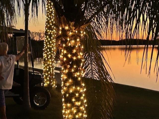 29211 Picador St, Punta Gorda, FL 33982 - water view